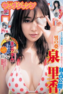 大侠霍元甲多少集