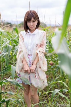 电视剧山花烂漫时