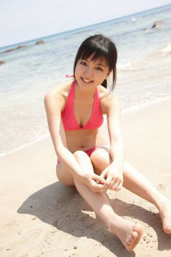 高义张敏